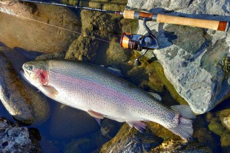 日曜の天竜川ルアーフライテンカラ専用区